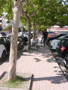 Plane Trees Bicici, Montenegro