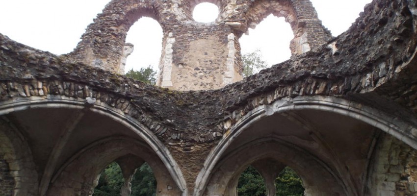 Abbey Ruins